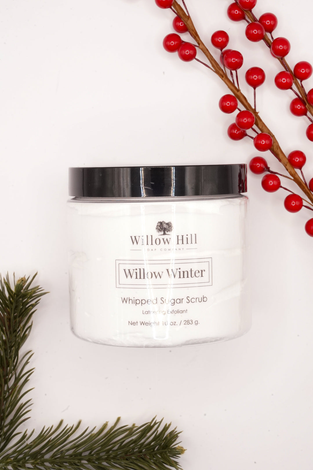 Willow Winter