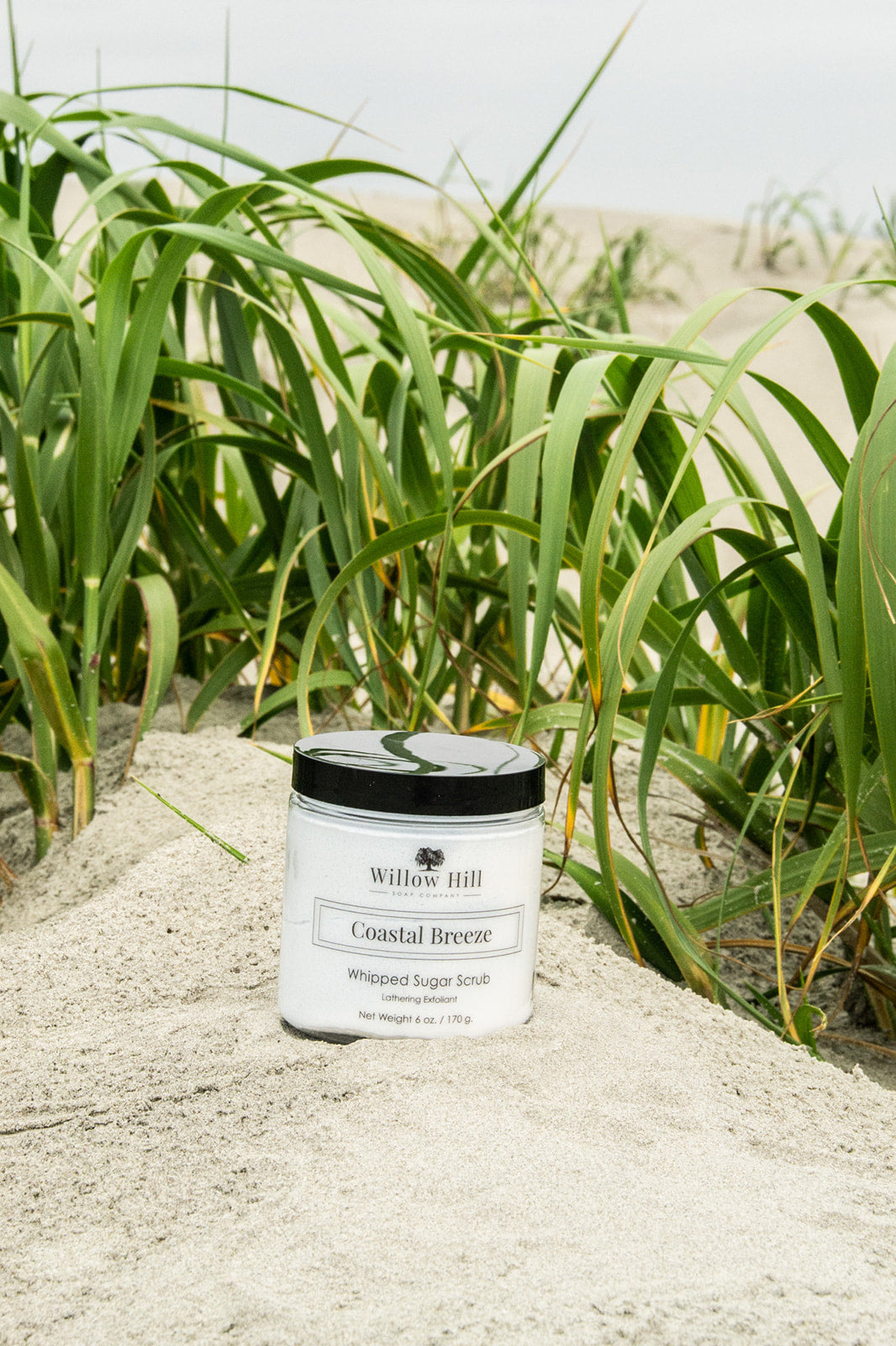 Coastal Breeze 10 oz Whipped Sugar Scrub